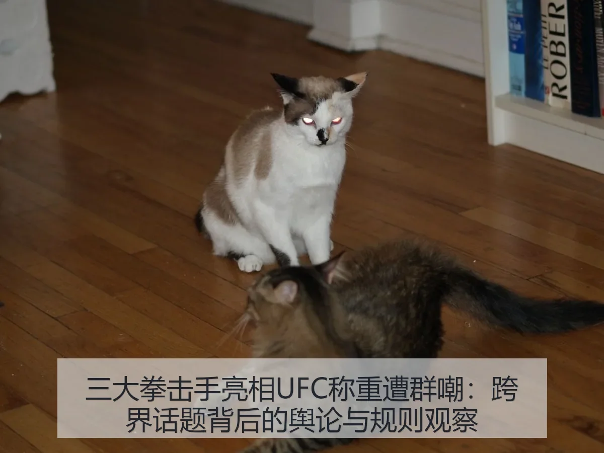 三大拳击手亮相UFC称重遭群嘲：跨界话题背后的舆论与规则观察
